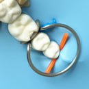 Kit Matriz Dental Restauração Odontológica 100 Peças/